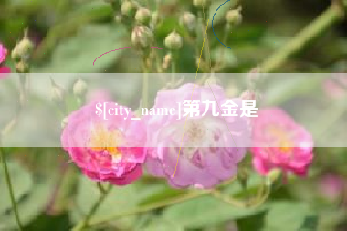 宜城第九金是