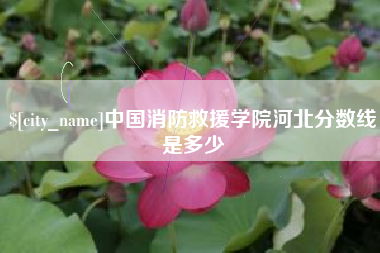 宜城中国消防救援学院河北分数线是多少