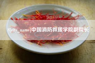 宜城中国消防救援学院副院长