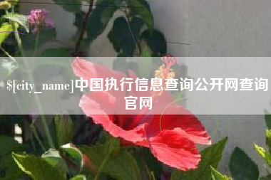 宜城中国执行信息查询公开网查询官网