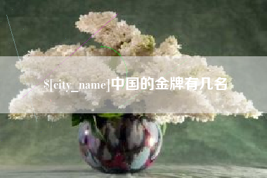 宜城中国的金牌有几名