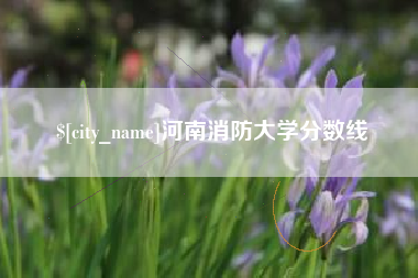 宜城河南消防大学分数线