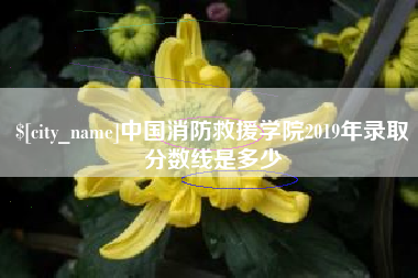 宜城中国消防救援学院2019年录取分数线是多少