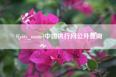 宜城中国执行网公开查询