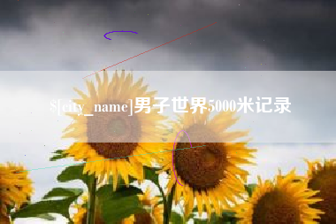 宜城男子世界5000米记录