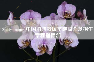 宜城中国消防救援学院简介及招生章程指挥部