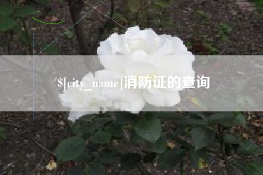 宜城消防证的查询
