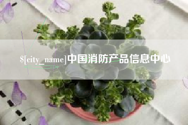 宜城中国消防产品信息中心