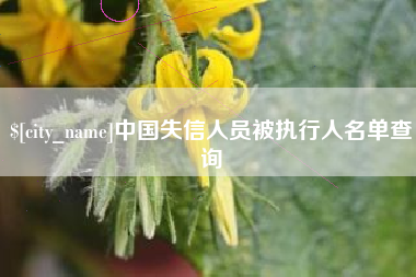 宜城中国失信人员被执行人名单查询