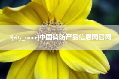 宜城中国消防产品信息网官网