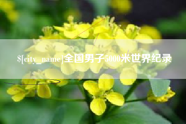 宜城全国男子5000米世界纪录