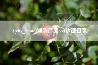 宜城消防产品cccf认证目录