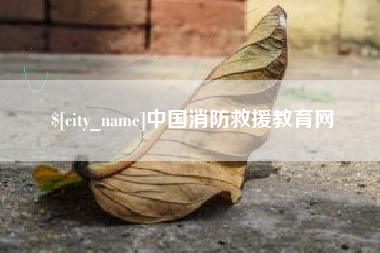 宜城中国消防救援教育网