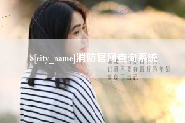 宜城消防官网查询系统