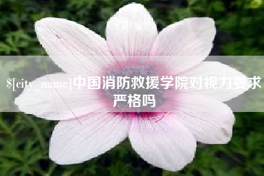 宜城中国消防救援学院对视力要求严格吗