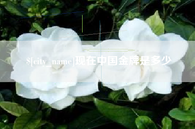 宜城现在中国金牌是多少