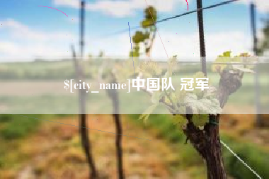 宜城中国队 冠军