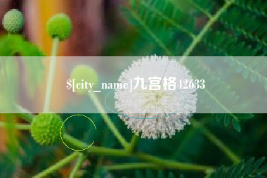 宜城九宫格42633