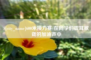 宜城600米接力赛-在同学们震耳欲聋的加油声中