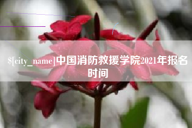 宜城中国消防救援学院2021年报名时间