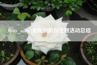 宜城全国消防日主题活动总结