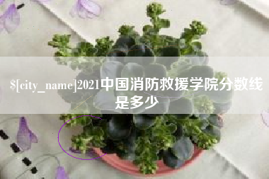 宜城2021中国消防救援学院分数线是多少