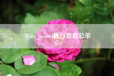宜城执行信息公示