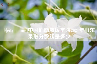 宜城中国消防救援学院2021年山东录取分数线是多少