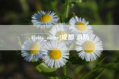 宜城成都 消防