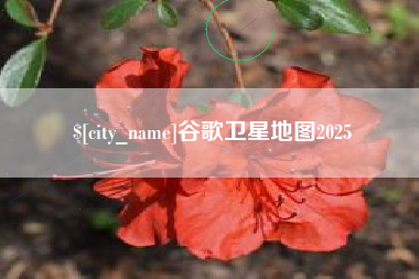 宜城谷歌卫星地图2025