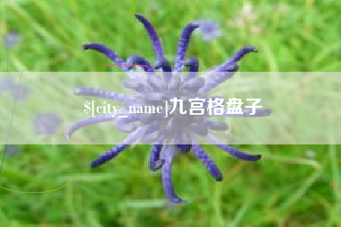 宜城九宫格盘子