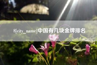 宜城中国有几块金牌排名