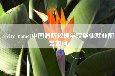 宜城中国消防救援学院毕业就业前景如何