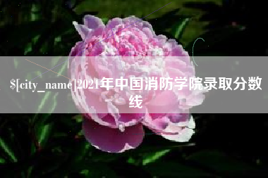 宜城2021年中国消防学院录取分数线