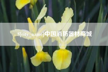 宜城中国消防器材商城