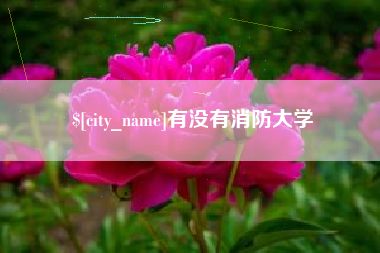 宜城有没有消防大学