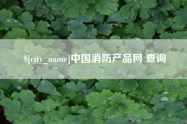 宜城中国消防产品网 查询