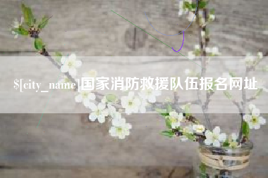 宜城国家消防救援队伍报名网址