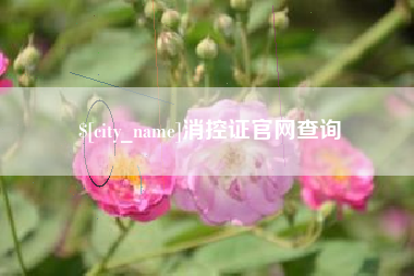 宜城消控证官网查询