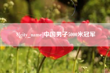 宜城中国男子5000米冠军