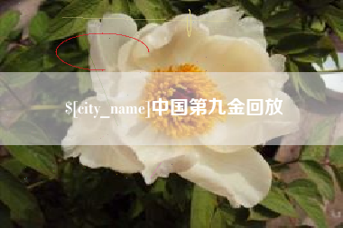 宜城中国第九金回放