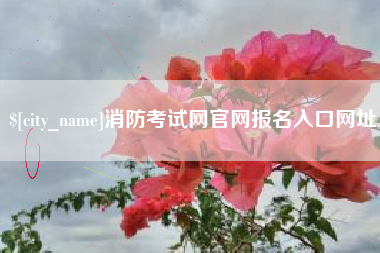 宜城消防考试网官网报名入口网址