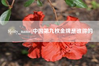 宜城中国第九枚金牌是谁得的