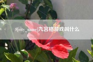 宜城九宫格游戏叫什么