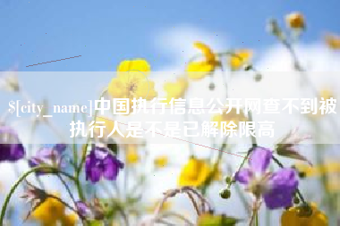 宜城中国执行信息公开网查不到被执行人是不是已解除限高