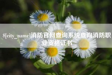 宜城消防官网查询系统查询消防职业资格证书