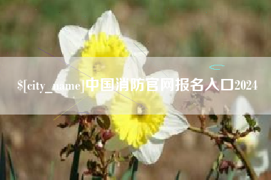 宜城中国消防官网报名入口2024