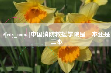 宜城中国消防救援学院是一本还是二本