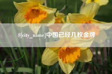 宜城中国已经几枚金牌