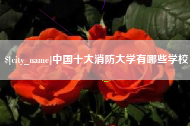 宜城中国十大消防大学有哪些学校